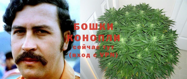 гидропоника Карпинск